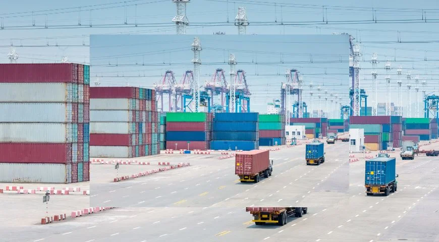 Logistics Excellence for Agro Exports