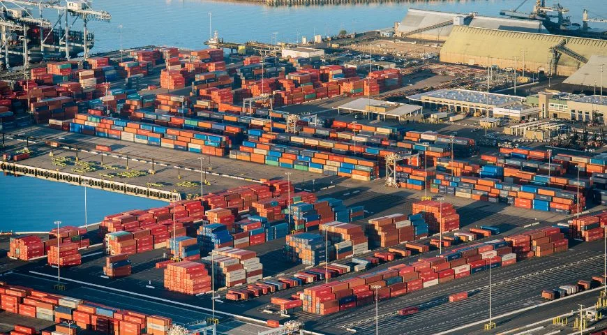 What the Data and Trends Are Telling